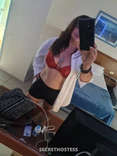 30Yrs Old Escort Size 14 Cairns Image - 0