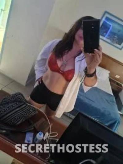 30Yrs Old Escort Size 14 Cairns Image - 4