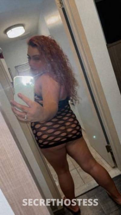 Alexis 24Yrs Old Escort Everett WA Image - 0