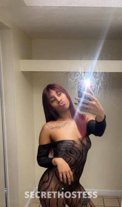 Allison 27Yrs Old Escort Mobile AL Image - 1
