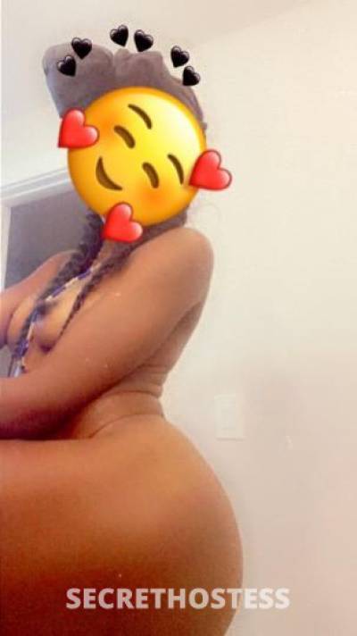 Angel 24Yrs Old Escort Bradenton FL Image - 1