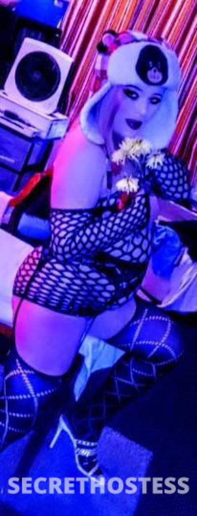 Angelique 28Yrs Old Escort Knoxville TN Image - 0