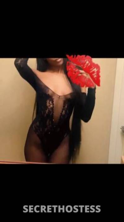 Bambi?? 25Yrs Old Escort 165CM Tall New Haven CT Image - 2