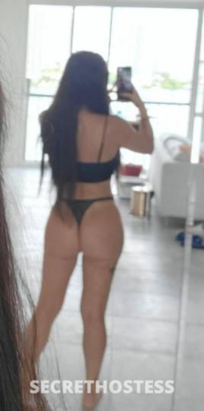 30 Year Old European Escort Miami FL - Image 4