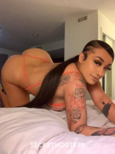 25 year old Escort in New Haven CT Brandy at your service