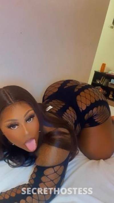 ChocolateChina 24Yrs Old Escort San Jose CA Image - 0