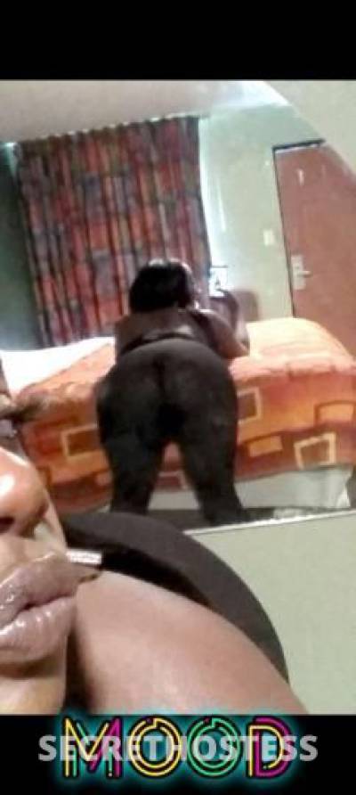 Cynn 24Yrs Old Escort Clarksville TN Image - 6