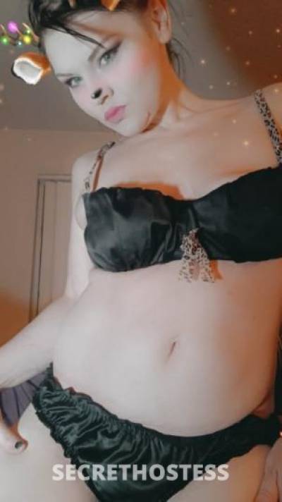 Dani 30Yrs Old Escort 154CM Tall Salt Lake City UT Image - 6