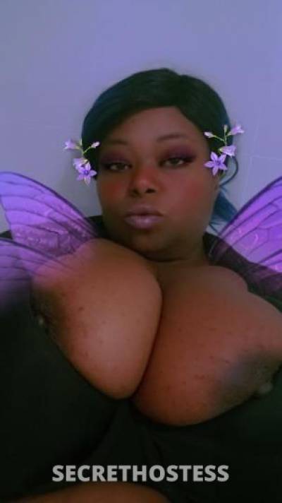 Ebony 39Yrs Old Escort Tampa FL Image - 3