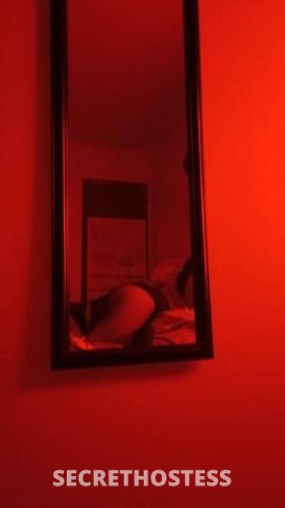 Harmonie💞🌎 21Yrs Old Escort Evansville IN Image - 7