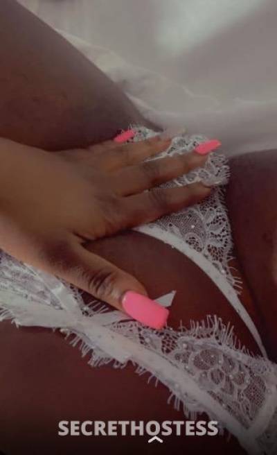 Hershey 24Yrs Old Escort Baton Rouge LA Image - 3