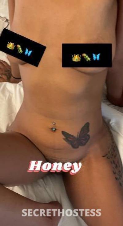 Honeyy 26Yrs Old Escort San Antonio TX Image - 1