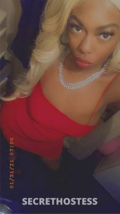 Julissa 25Yrs Old Escort Bronx NY Image - 2