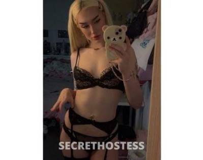 21 year old Caucasian Escort in Newcastle English Kelly Real 247