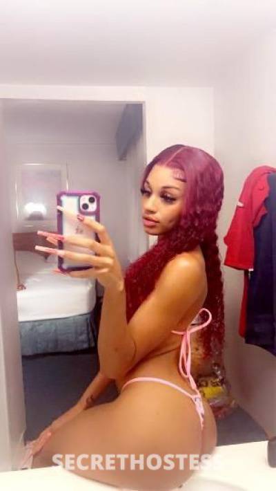 Lily 23Yrs Old Escort Modesto CA Image - 4