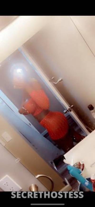 Lola 24Yrs Old Escort Springfield IL Image - 1