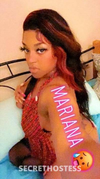 Mariana 23Yrs Old Escort Clarksville TN Image - 1