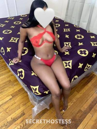 Marley 27Yrs Old Escort Bronx NY Image - 3