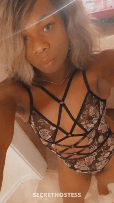 Mary 25Yrs Old Escort Akron/Canton OH Image - 1
