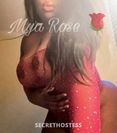 MyaRose 27Yrs Old Escort New York City NY Image - 0