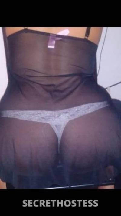 Nikki 29Yrs Old Escort Providence RI Image - 3