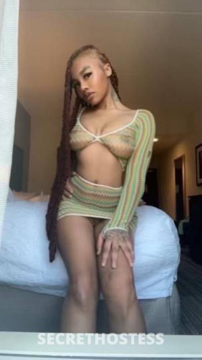 Phinix 23Yrs Old Escort Greenville SC Image - 3