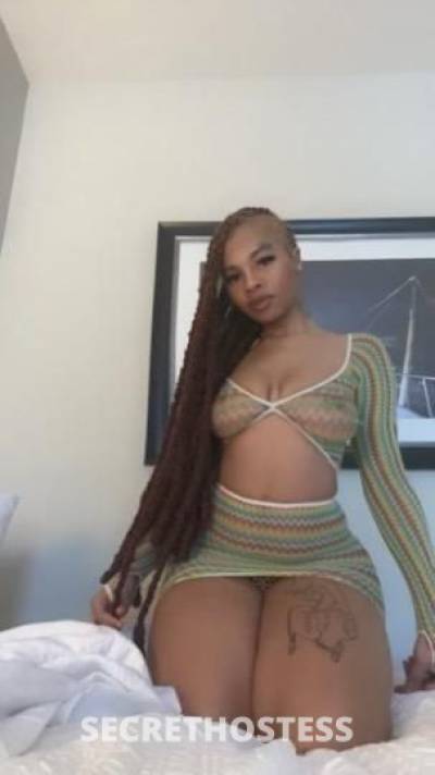 Phinix 23Yrs Old Escort Greenville SC Image - 4