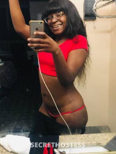 PressureDaThottie 27Yrs Old Escort Houston TX Image - 5