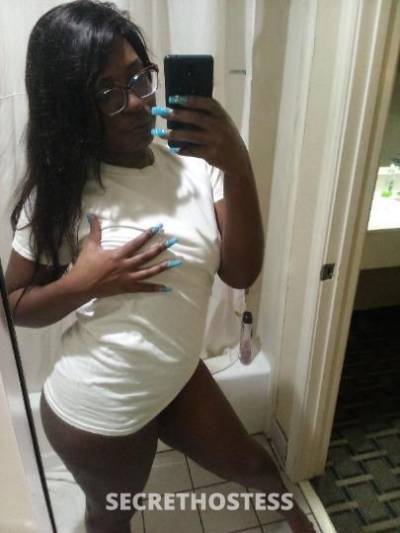 PressureDaThottie 27Yrs Old Escort Houston TX Image - 10