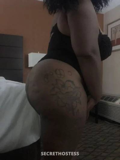 Rosa 31Yrs Old Escort 154CM Tall Detroit MI Image - 4