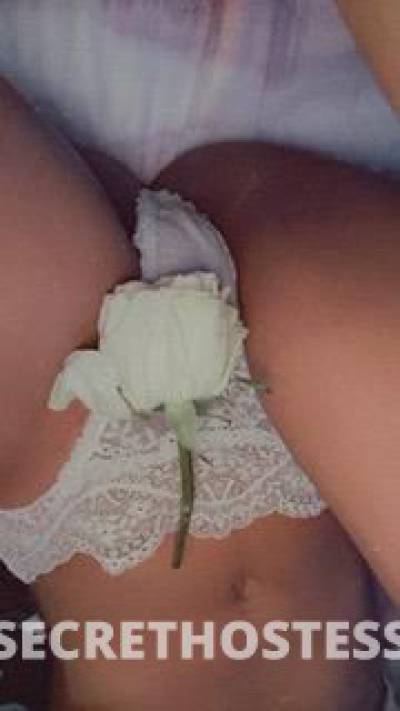 Rosita 23Yrs Old Escort 160CM Tall Stockton CA Image - 2