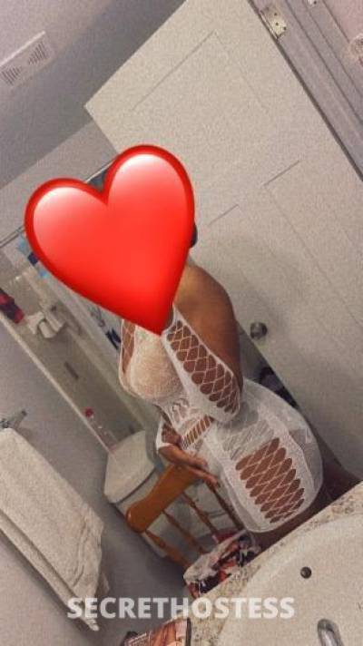 Sloane 20Yrs Old Escort Lansing MI Image - 0