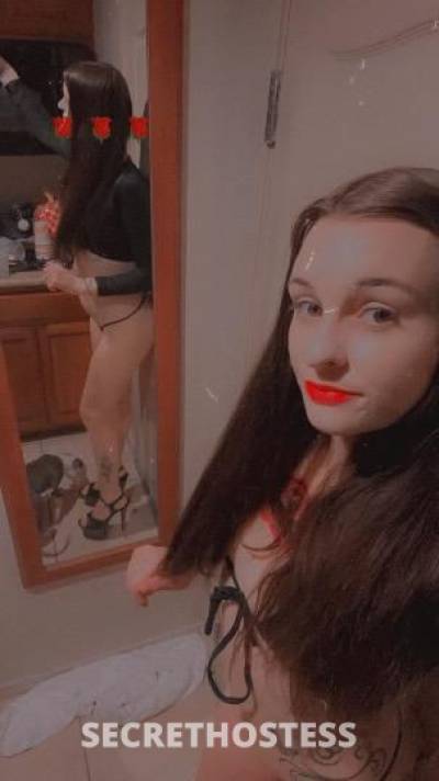Sophia 21Yrs Old Escort 165CM Tall Los Angeles CA Image - 2