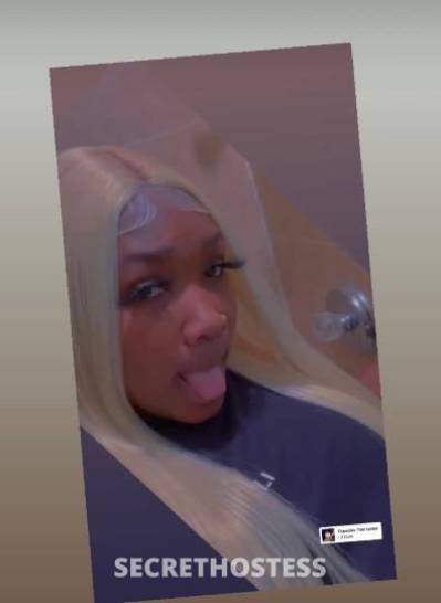 Tamia 26Yrs Old Escort North Jersey NJ Image - 1