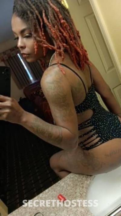 Xxtacy 26Yrs Old Escort Saint Louis MO Image - 3