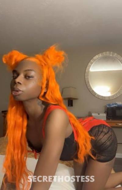 YaYaa?? 23Yrs Old Escort Saint Louis MO Image - 4