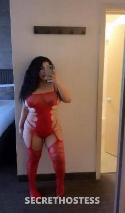 25 year old Latino Escort in Harrisburg PA .......fuck me till I squirt all over