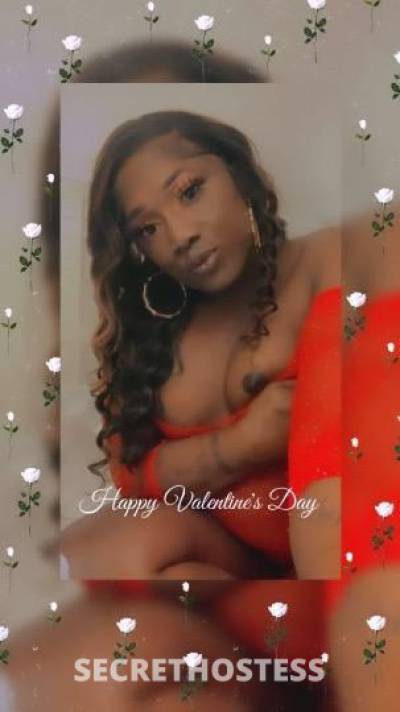 cumcatcher 29Yrs Old Escort Baton Rouge LA Image - 1