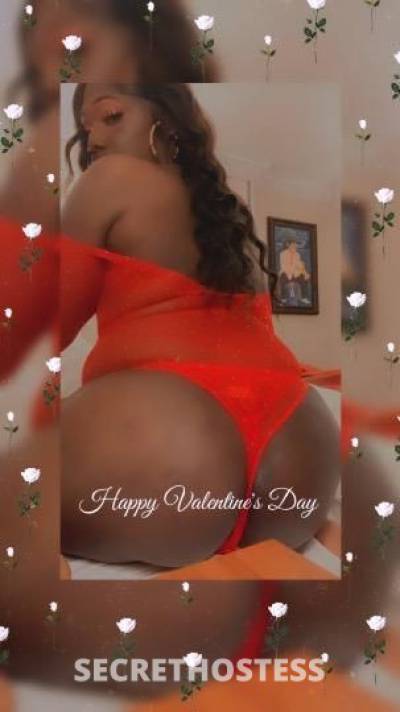 cumcatcher 29Yrs Old Escort Baton Rouge LA Image - 8