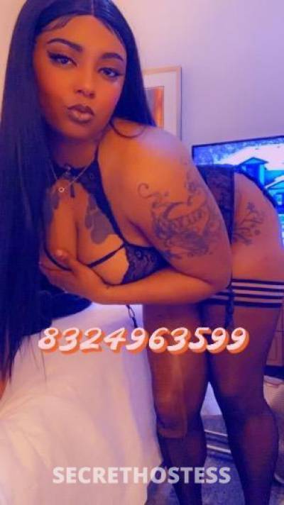 26Yrs Old Escort Dallas TX Image - 0