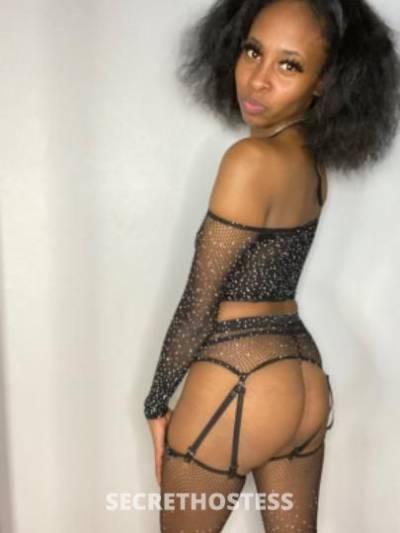 26Yrs Old Escort Dallas TX Image - 0