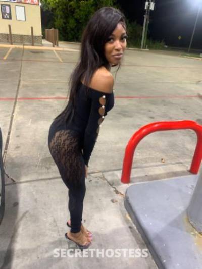 Amiri 23Yrs Old Escort Houston TX Image - 1