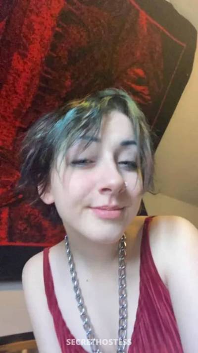 Emilly 20Yrs Old Escort Tucson AZ Image - 3