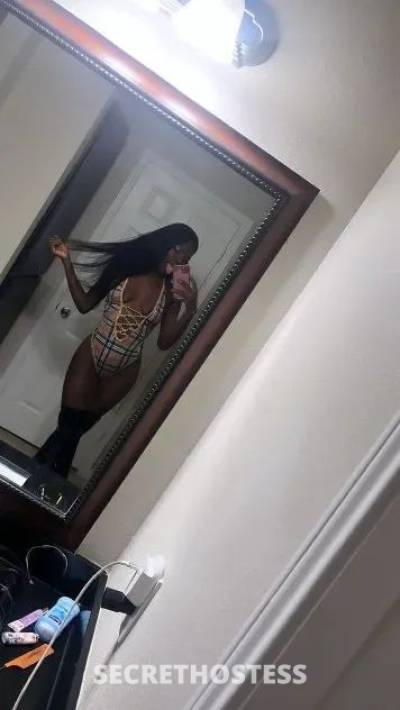 Perrypink 22Yrs Old Escort 167CM Tall New Orleans LA Image - 5