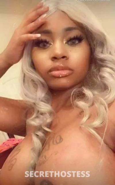 Rosa 28Yrs Old Escort Western Illinois IL Image - 1