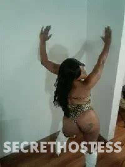  Paradise 29Yrs Old Escort Tyler TX Image - 0