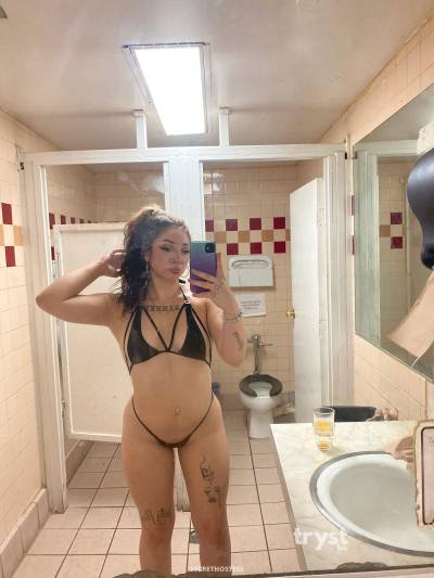 20 Year Old Italian Escort Miami FL Brunette - Image 1