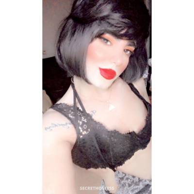 Selina, Transsexual escort in Riyadh