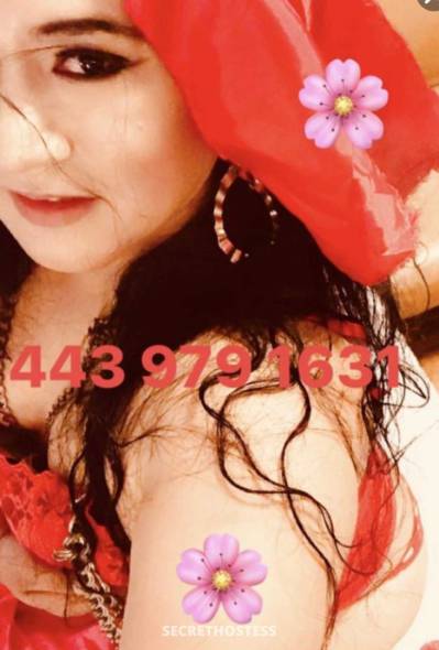 25Yrs Old Escort Long Island NY Image - 5