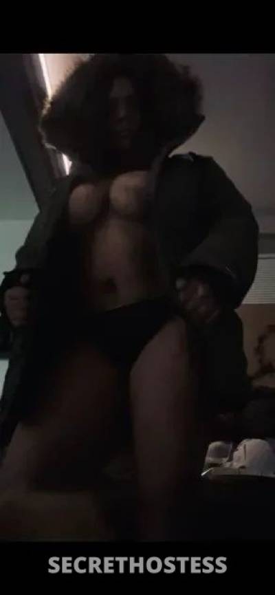 29Yrs Old Escort 162CM Tall Olympia WA Image - 1